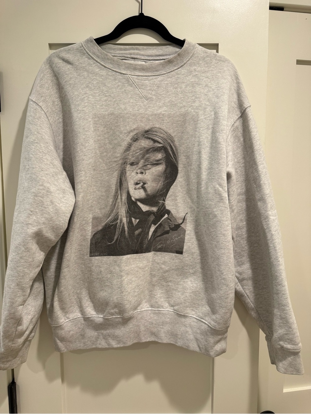 Anine Bing - Birgitte Gray Graphic Crewneck Sweatshirt with Monochrome Portrait